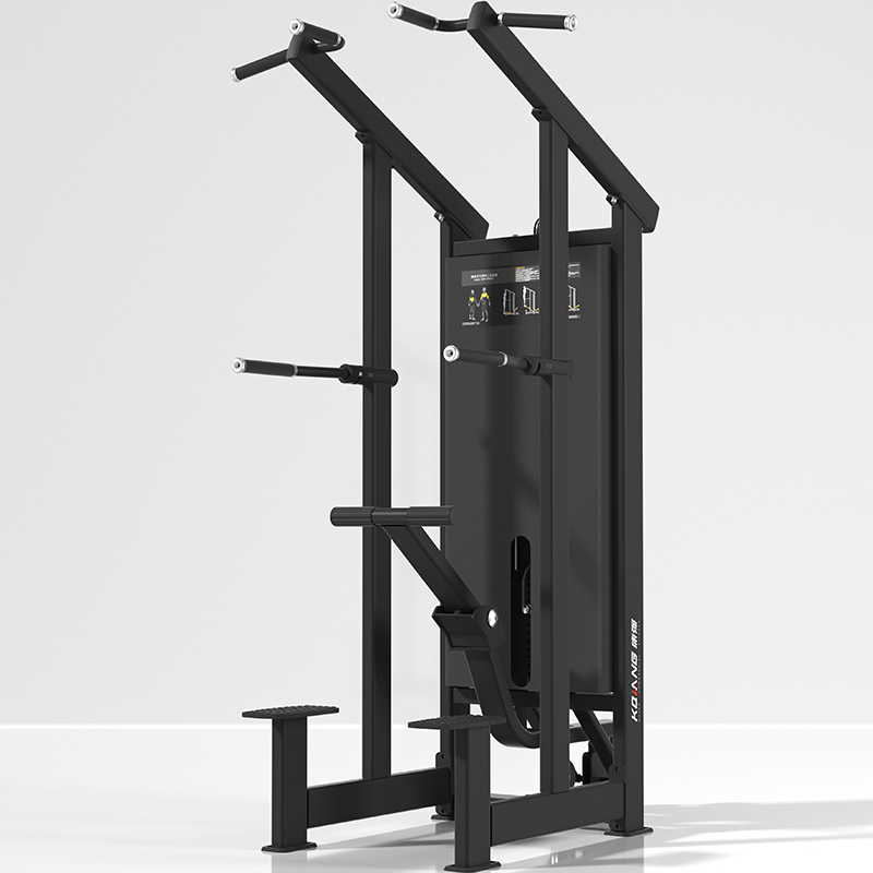 leyu.乐鱼辅助单双杠训练器7019室内专业力量专项运动健身器材